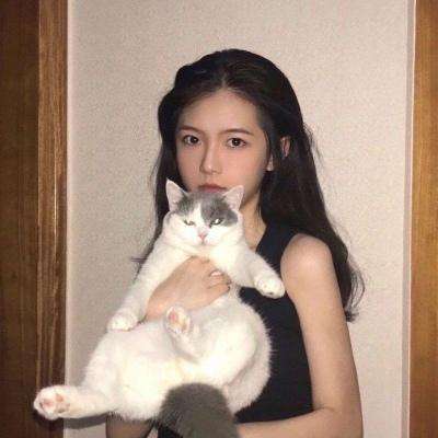 古罗马战役内购破解版下载